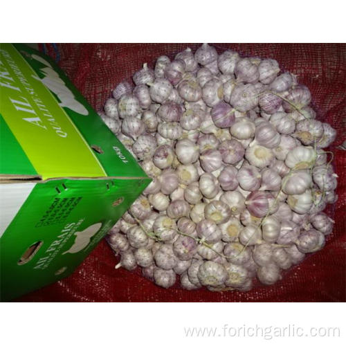 New Crop 2019 Garlic Hot Sale